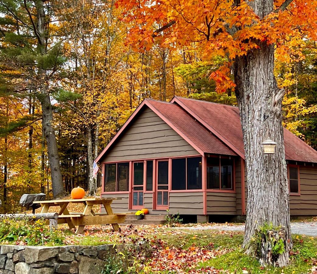 Adirondack Lake Cabins Otel Indian Lake Dış mekan fotoğraf